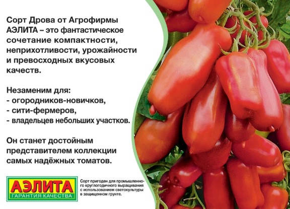 Томат Дрова
