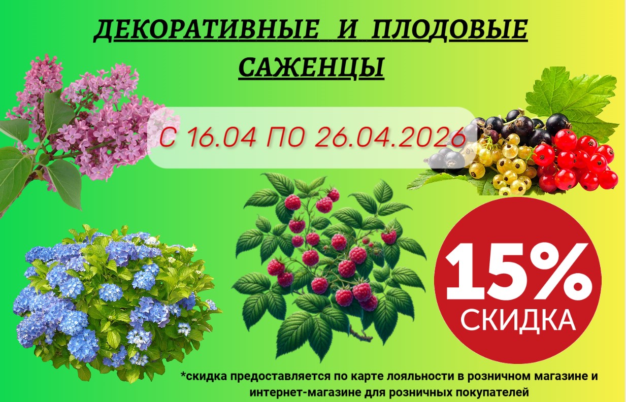 АКЦИЯ НА САЖЕНЦЫ ДЕКОРАТИВНЫХ И ПЛОДОВЫХ КУСТАРНИКОВ АКЦИЯ НА САЖЕНЦЫ ДЕКОРАТИВНЫХ И ПЛОДОВЫХ КУСТАРНИКОВ