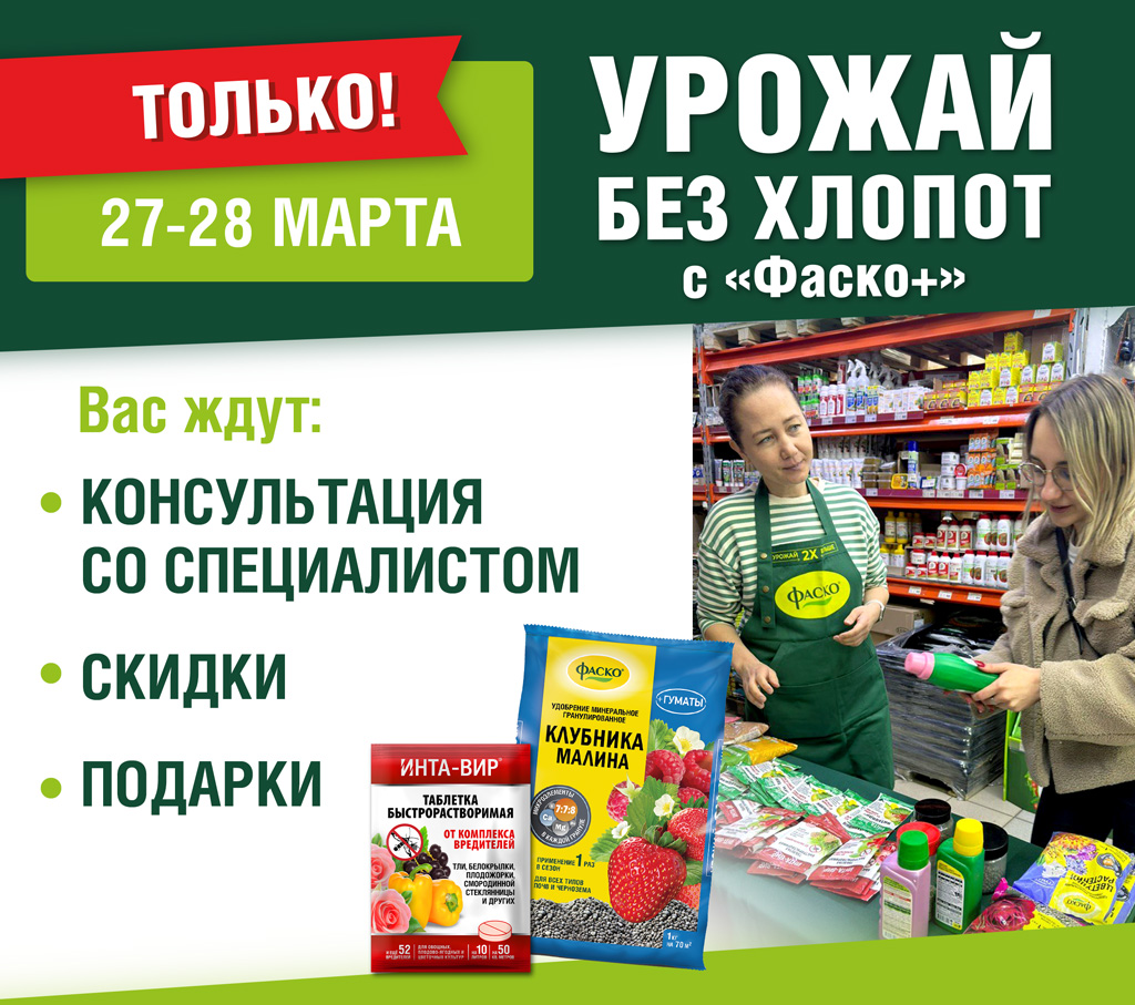 Консультация со специалистом в магазинах