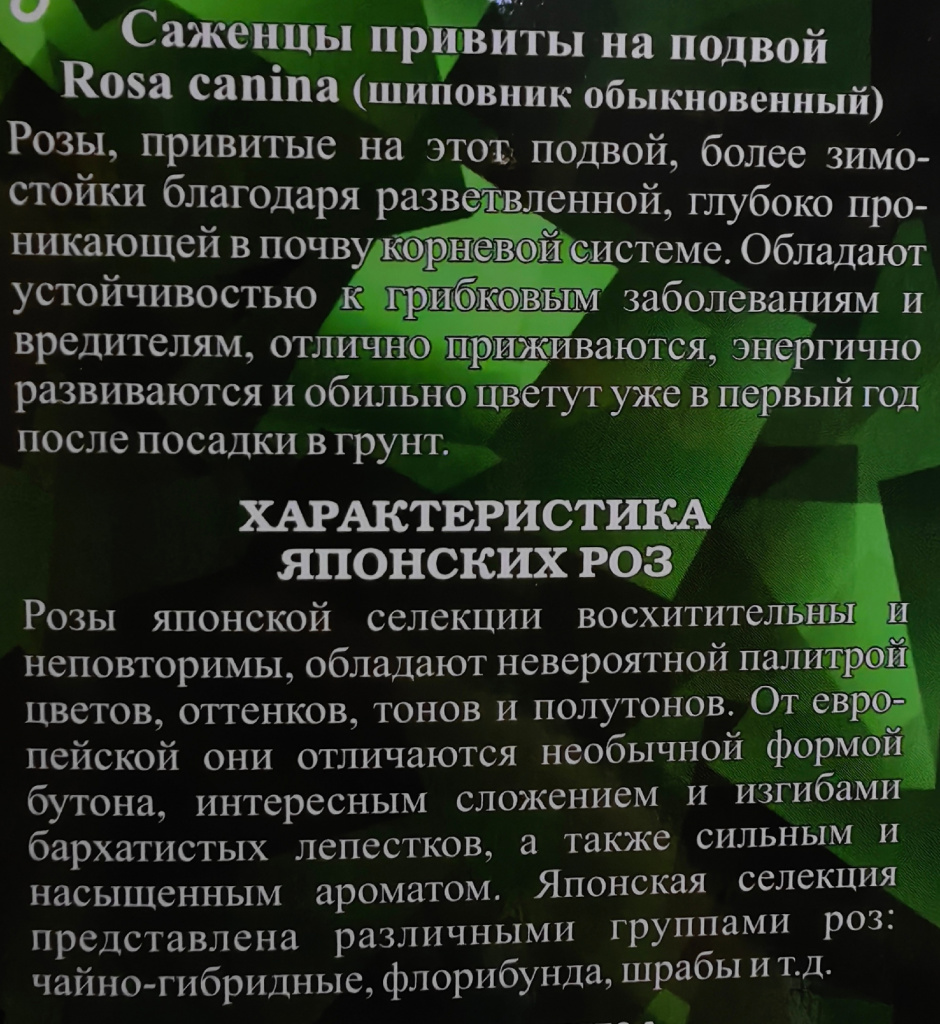 DMqdZpyYqy8.jpg DMqdZpyYqy8.jpg