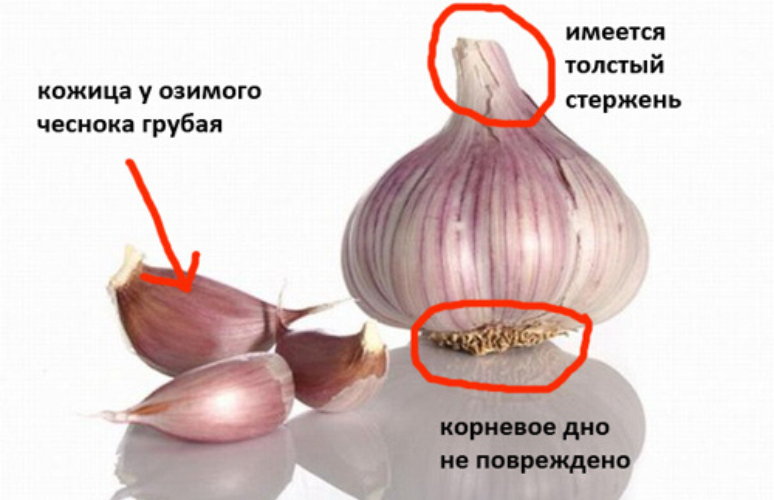 3.png 3.png