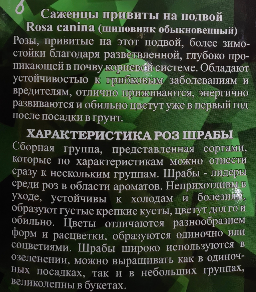 r97Fdp6hAEA.jpg r97Fdp6hAEA.jpg