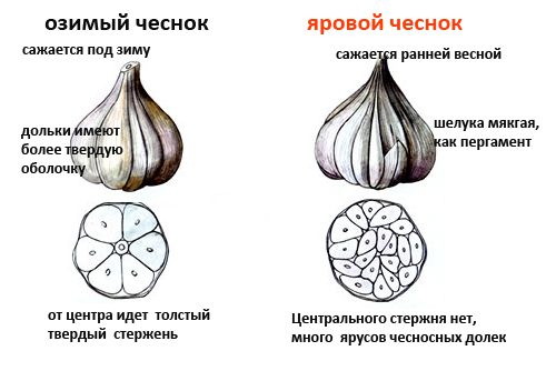 4.jpg 4.jpg